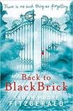 Front cover of Back to Black Brick