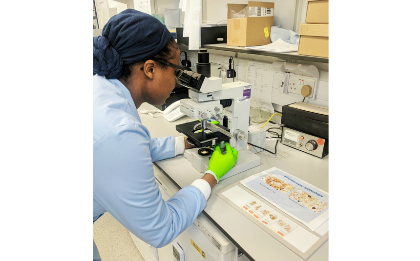 Shalmai using a microscope