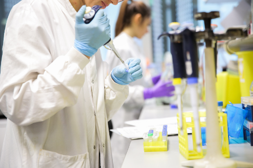 Researchers working in a lab