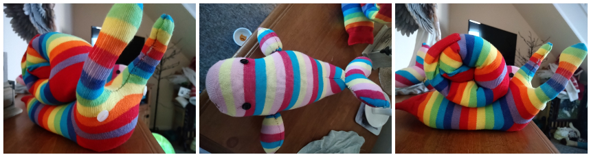 Tracey's sock whale and sock snail
