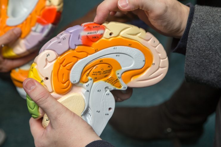 How dementia affects the brain