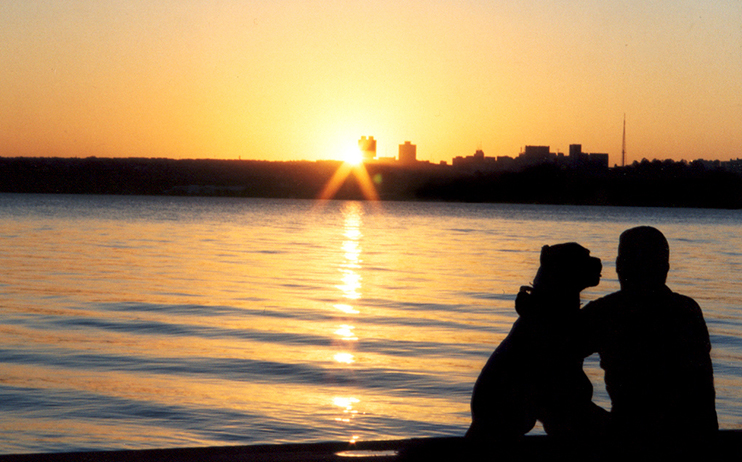 Someone sitting with their pet dog