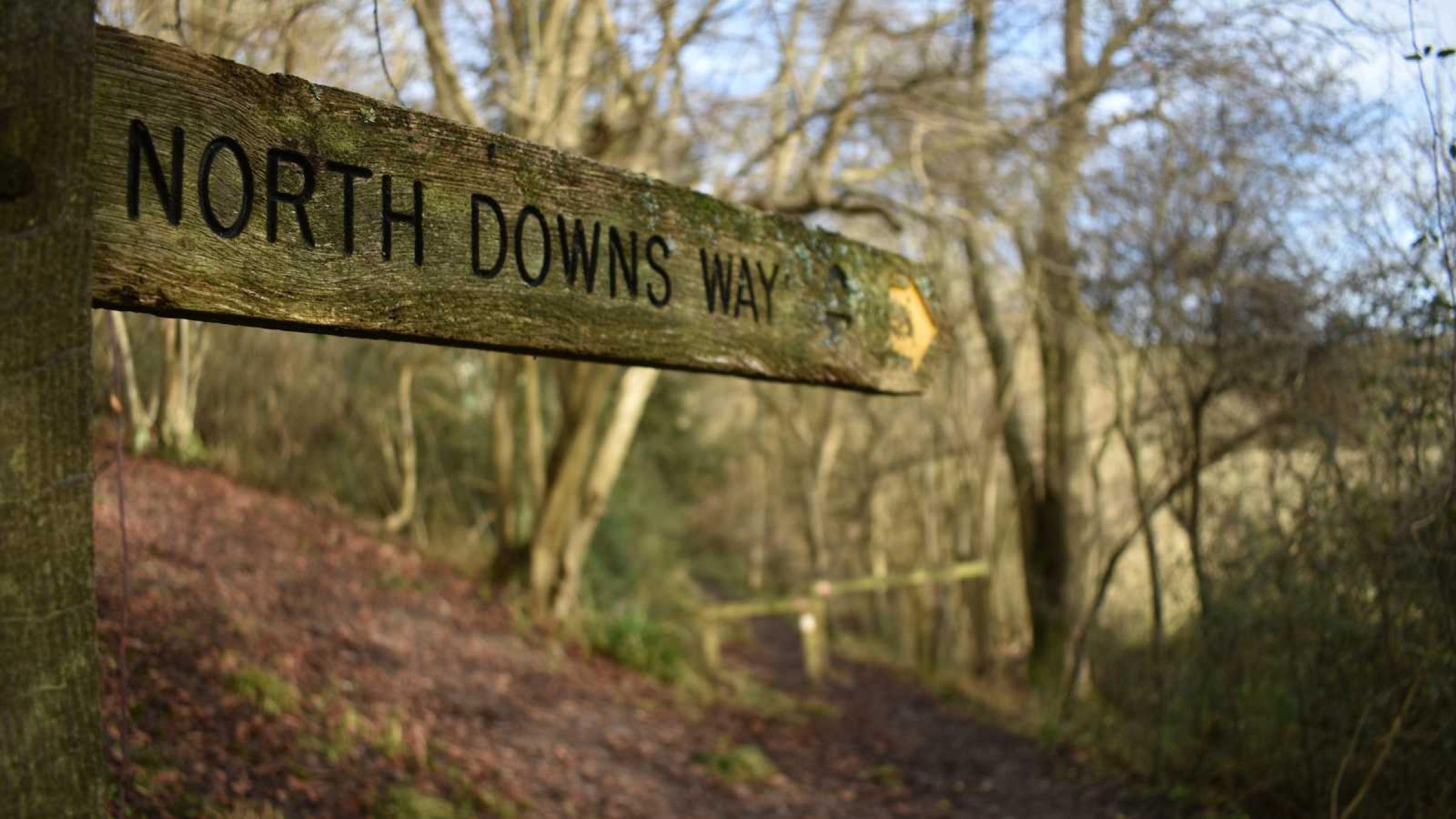 A North Downs Way sign in the woods