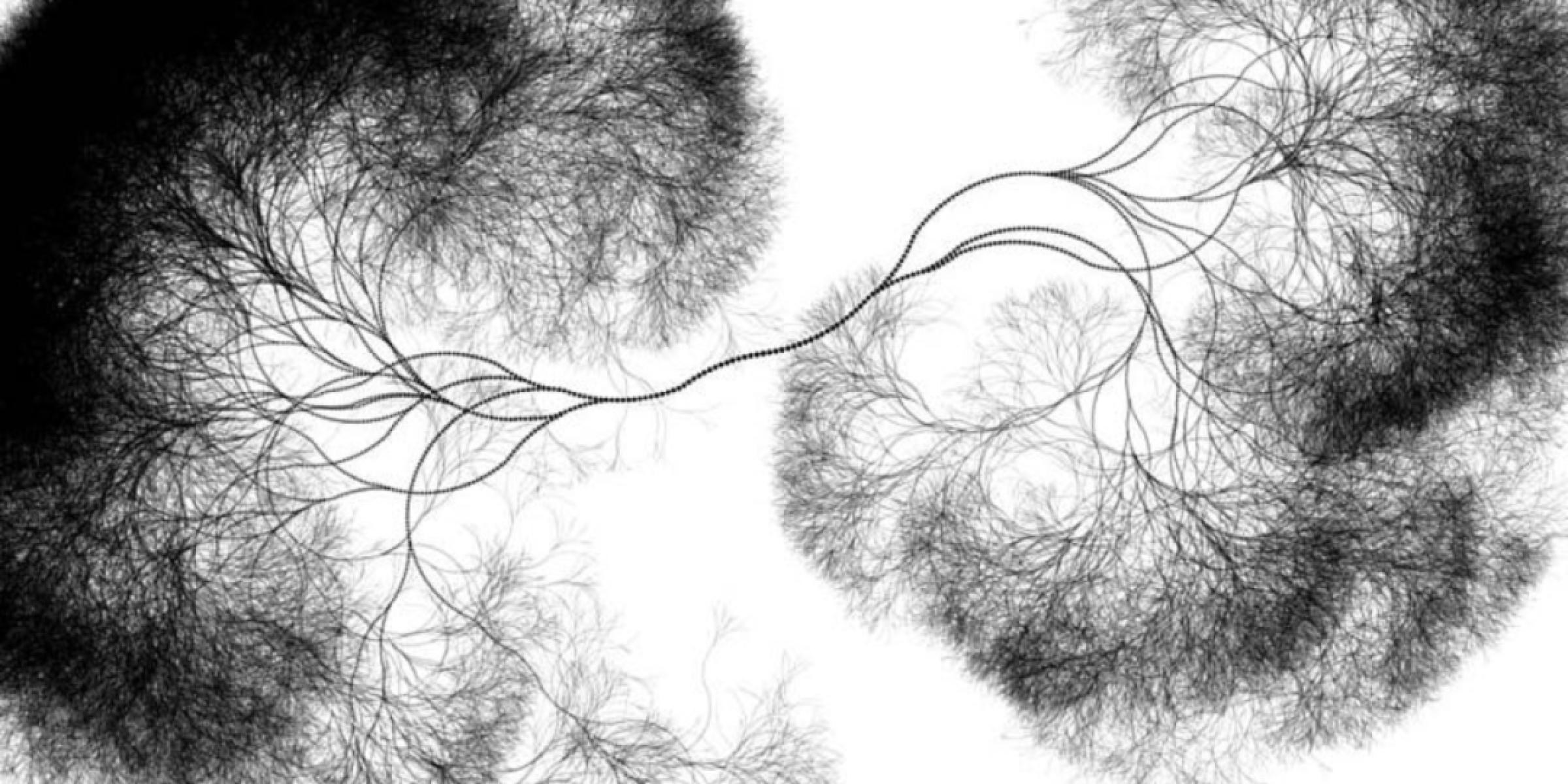 A black and white image titled neuron fractal 1 by Anthony Mattox shows a complex tree-like display of neurons