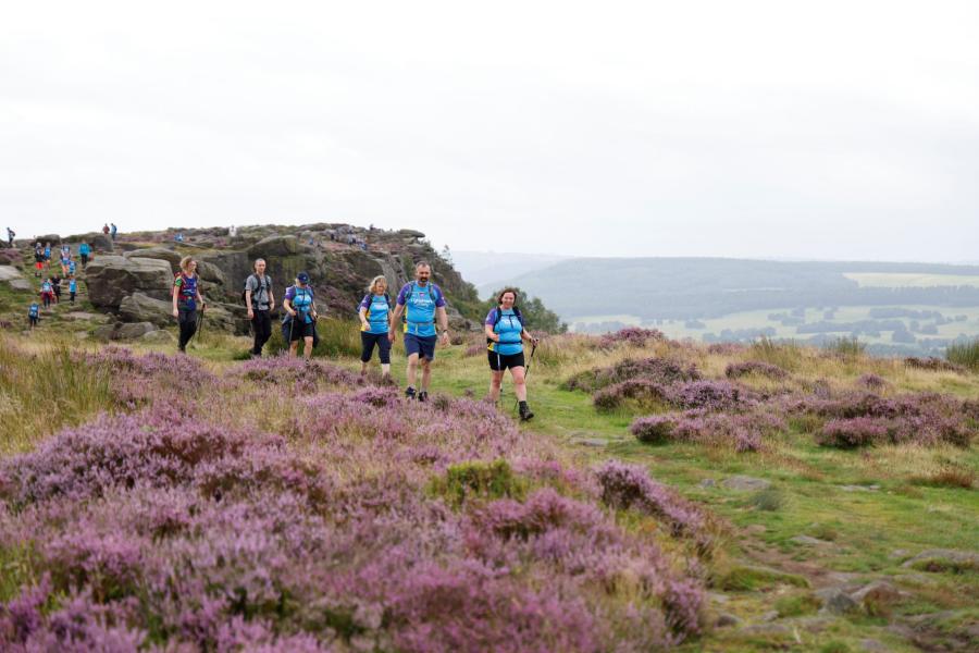 A groups of trekkers walking across heather