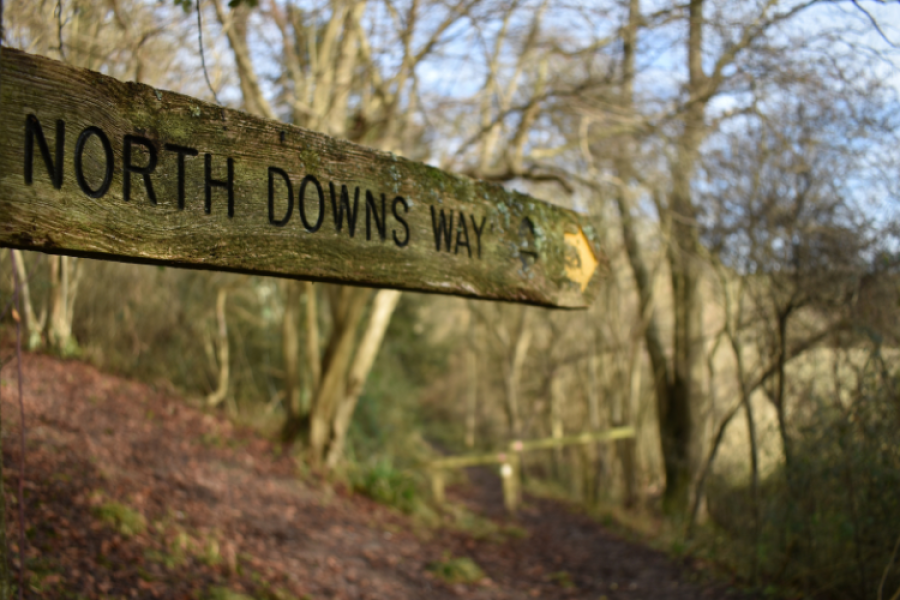 North Downs Way sign in the wood