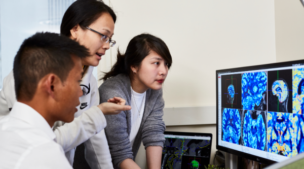 Early career researchers looking at a desktop screen of brain scans