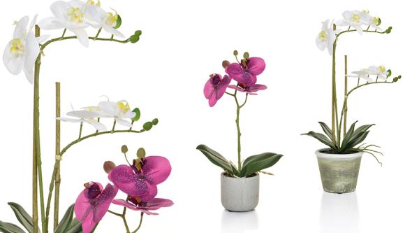 Feel-real orchids