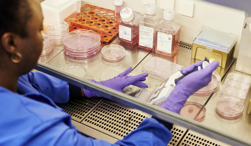 Researcher in the lab