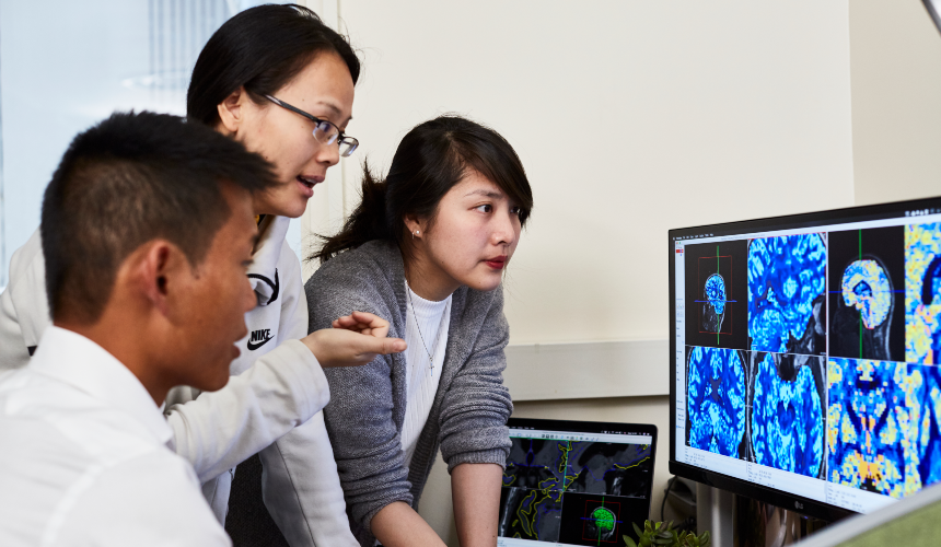 Early career researchers looking at a desktop screen of brain scans
