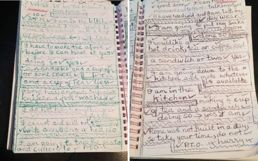 Pages from Pearl's notebook