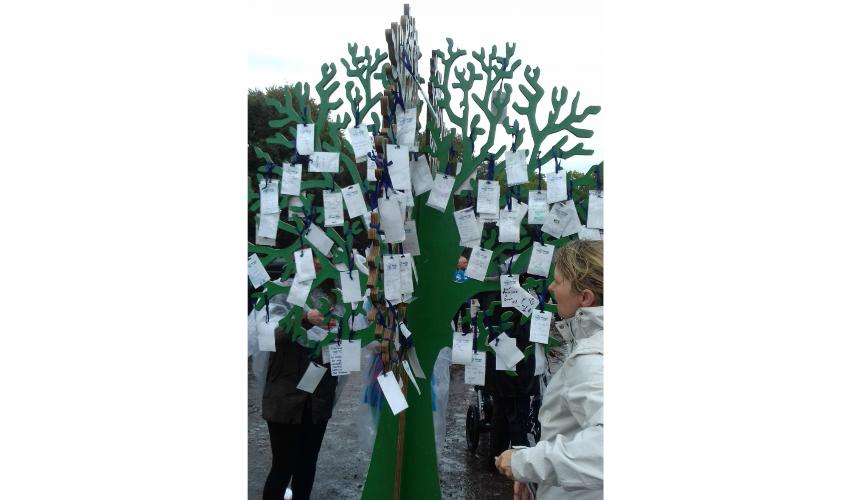 The Memory Tree - a focal point of every Memory Walk
