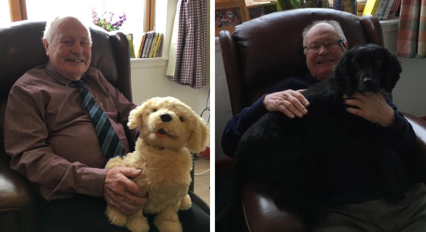 Two photos of Bill Mann pictured with a toy therapy dog on the left and a black dog on the right