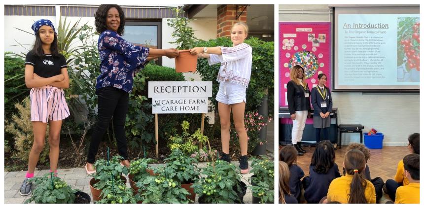 Regina at Vicarage Farm care home being handed a tomato plant alongside another picture of her at a school assembly