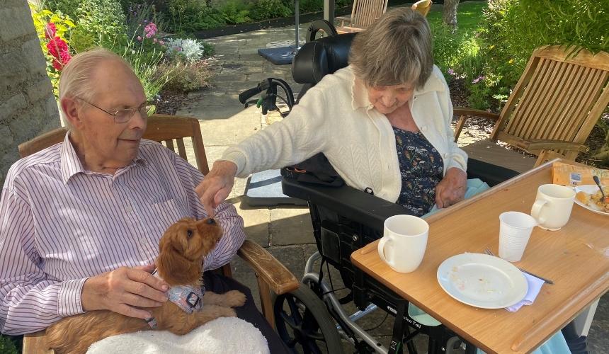 An older couple sit at a table outside, the man has a small dog in his lap