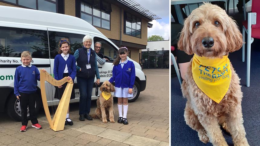 Sue and Boo visit school children (left) and on the right, Boo sits wearing his yellow Pets As Therapy bandana