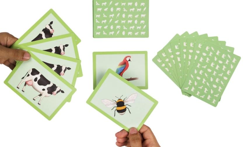 green cards with animals on them