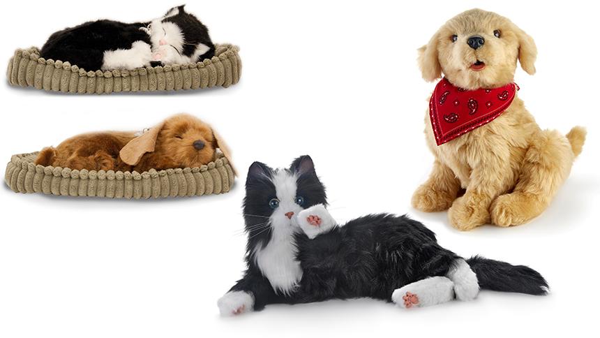 Dementia dog toy shop