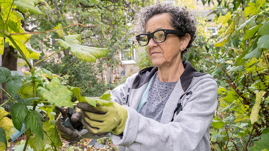 A person using smartglasses while pruning a garden plant