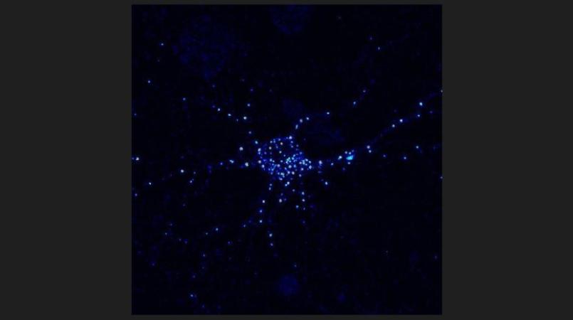A mostly black image with a star-shaped speckled pattern of blue dots