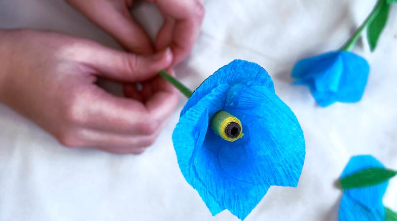 A forget-me-not made out of craft paper