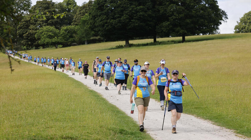 A group of people walking along a long path in a field.