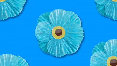 Forget me not flower pin badges on a light blue background