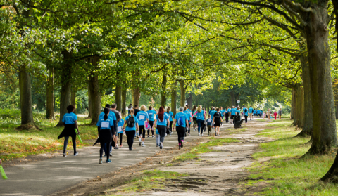 group of walkers, wearing blue Memory Walk t-shirts, walking through a woodland area