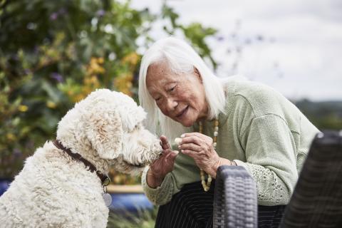 A smiling lady leans in to feed her dog a treat