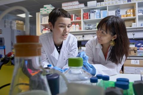 Two dementia researchers in the lab
