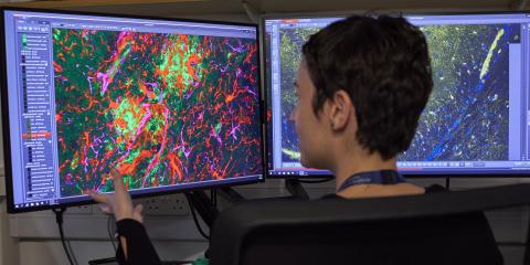 A researcher with short black hair sat in front of a a computer showing scientific images