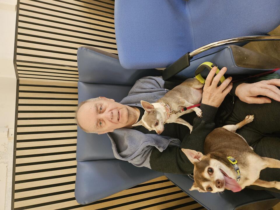 A man sat in a chair with two small dogs